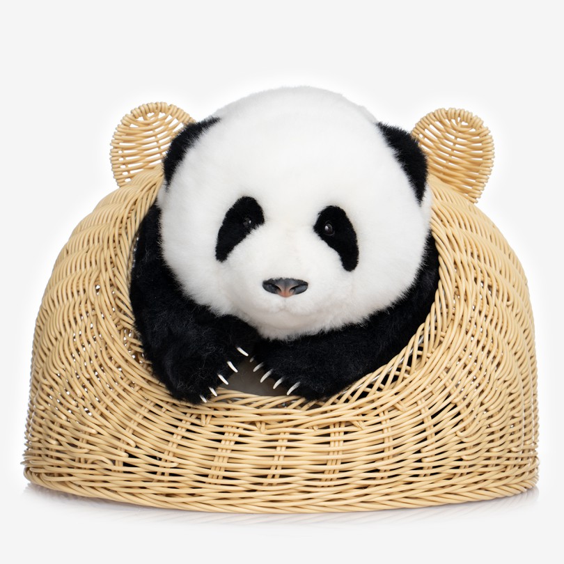 Realistic Panda Plush 5 Months (Hehua)