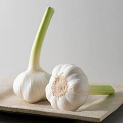 Garlic Shape Seasoning Bottle